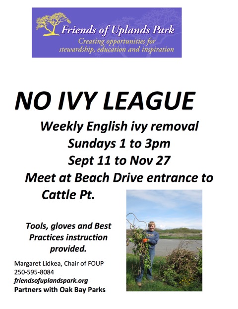 sept-11-no-ivy-league-poster